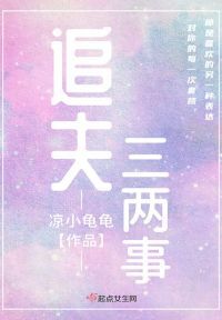 追夫三两事