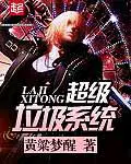 超级垃圾系统